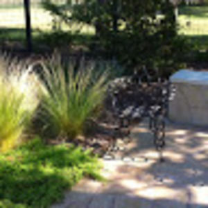 Meet your Posher, Lynn